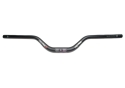 Ergotec Lenker Downhill Riser Bar 70 schwarz matt